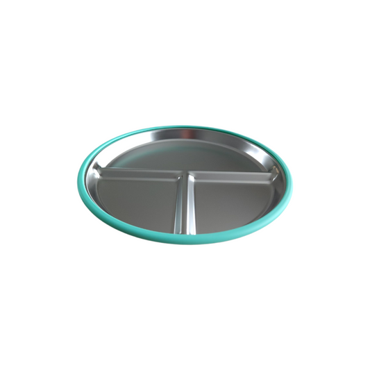 Stainless steel 3 section plate with silicone suction cover