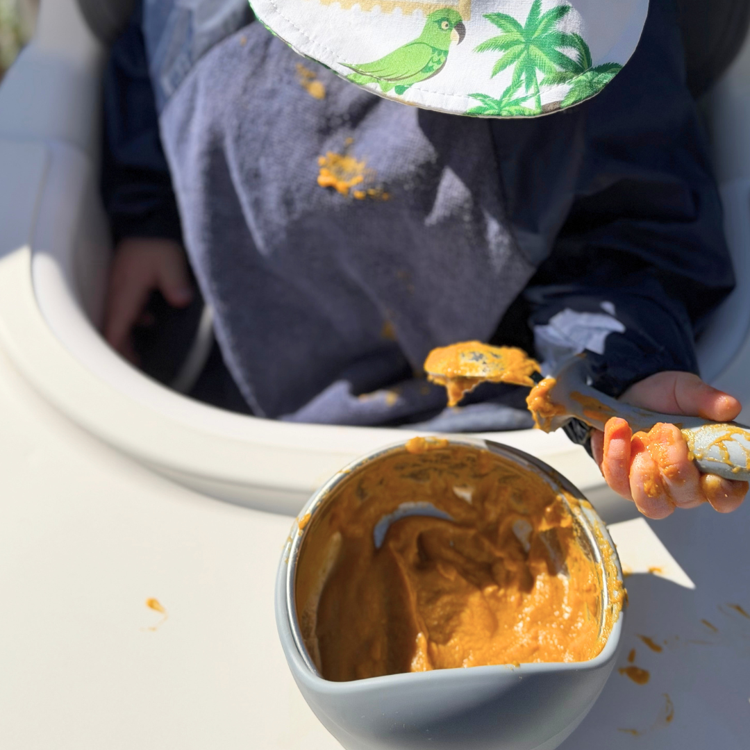 Stainless Steel Baby Suction Bowl